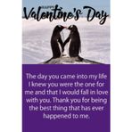 Valentine’s Day Notebook Gift –Saint Valentin Notebook Gift - 14 February : Saint Valentin Journals to Write in - Lined Notebook / 120 Pages, 6x9, Soft Cover, Matte Finish