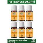 Valide Sultan Yılan Saç Bakım Yağı 20ml 6 Adet