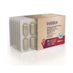 Validus Curcumin 500 mg + Piperin + Inula Henelium + Astragalus + Quercetin + Reishi + Moringa 60 Kapsül