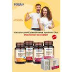 Validus Longevity Vital Set - Curcumin - Black Cumin - Beta Glucan - Inula Helenium - Colostrum