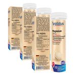Validus Magnesium Complex Bisglycinate Taurat Malat 15 Effervescent Tablet (3 paketi)