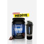 Validus True Mass Gainer (Chocolate) 700 g