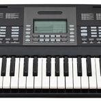 Valler RA160 61 Tuş 5 Oktav Org