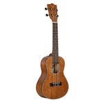 Valler Ua52 Ns Concert Natürel Ukulele