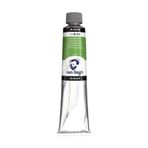 Van Gogh 40 ml Perm Perm Green Medium Yağlı Boya