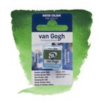 Van Gogh Hooker Green Light Sulu Boya Tableti
