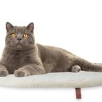 Vantuzlu Cama Asılan Kedi Yatağı 47 cm