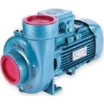 Varan CS-22 Kompakt Monoblok Santrifüj Pompa 2 Hp 380 Volt