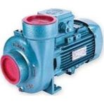 Varan CS-315 Kompakt Monoblok Santrifüj Pompa 1.5 Hp 380 Volt