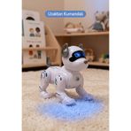 Vardem Oyuncak Şarjlı Işıklı Ve Sesli Akıllı Robot Köpek