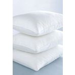 Varol VRL0000202 910 gr 2 Adet Microfiber Antialerjik Yastık