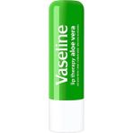 Vaseline Lip Therapy Aloe Vera Dudak Bakım Kremi Arındırıcı Etki ve Hızla Emilen Form