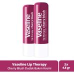 Vaseline Lip Therapy Dudak Bakım Kremi Cherry Blush 4.8 gr X2