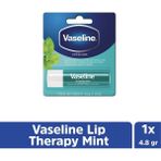 Vaseline Mint 4.8 gr Dudak Nemlendiricisi
