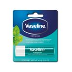 Vaseline Mint 4.8 gr Dudak Nemlendiricisi