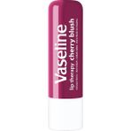 Vaseline Therapy Dudak Bakım Kremi Cherry Blush 4.8 gr - Standart