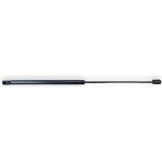 Vass41 Ford Focus 2 Turnier Sw 2005-2011 Bagaj Amortisörü Pistonu 4M51N406A1 - Siyah