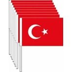 Vatan 20x30 cm Battal Boy Sopalı 10'lu Kağıt Bayrak