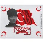 Vatan 50x75 Atatürklü Bayrak