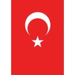 Vatan 50x75 cm Bayrak
