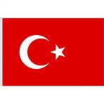 Vatan 600x900 Bayrak