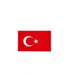 Vatan 60x90 cm Türk Bayrak