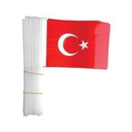 Vatan Battal Boy Çıtalı Kağıt 50'li Türk Bayrağı