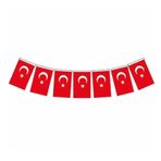 Vatan Bayrak İpli Orta Boy (10 Paket)
