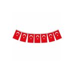 Vatan Bayrak Türk Bayrağı Ipe Dizili Kağıt Ipli Şerit Bayrak 13X8Cm 25'li Şerit