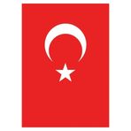 Vatan Bayrak Türk Bez Bayrak,%100 Polyester, 60x90 cm