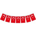 Vatan Büyük Boy 18X11 Cm İpli Kağıt Türk Bayrağı 50'li Kırmızı Renkli Ürün