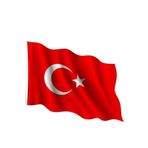 Vatan İnter Bayrak Bez Bayrak 40X60