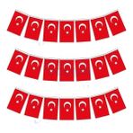 Vatan Ipli Bayrak Ayyıldız 50 Li Büyük Boy 2 Adet ( 11 x 19 cm ) - Kırmızı - Beyaz - İpli Bayrak