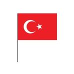 Vatan Sopalı Battal Boy Türk Bayrağı 50 Li