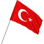 Vatan Sopalı Bez Bayrak - Miting Bayrağı 10'lu 50 x 75 cm