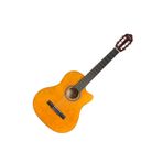 Vc104Tc Klasik Gitar 4/4 Kılıf Pena