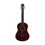 Vc204Twr Mat Klasik Gitar Kılıf + Pena