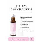 VCELA Yaşlanma Karşıtı Peptit Matrıxyl Ha Argırelıne Konsantre Doğal Roll On Serum