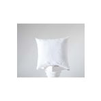 vecit 60x60 cm Kare Kırlent İç Yastık 900 gr (Yıkanabilir Silikon) 2 ADET