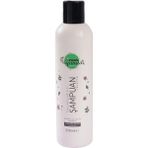 Veganeed Hacimlendirici 250 ml Lavanta Kuru Saçlar Lavender Full Volume for Dry Hair Vegan Şampuan