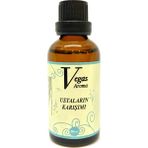 Vegas Aroma Kiti 50 ml Ustaların Karışımı Anason Yağı Hazır Karışım -Aroması - 11 Litre Bitmiş Ürün