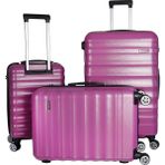 Vegmann Delphin Seri Violet 3'lü Valiz Seti