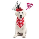 Vehomy Sevgililer Günü Evcil Hayvan Köpek Bandanası, Köpek Saç Şapkası, Klips, Köpek Eşarbı, Yıkanabilir Tersine Çevrilebilir Kalp Baskılı Önlükler, Atkı Seti, Evcil Köpek, Kedi için 2 adet