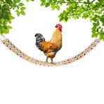 Vehomy Tavuk Kümesi Oyuncak, Tavuk Oyuncağı, Tavuk Merdiveni, Tavuk Salıncağı, Kuşlar, Tavuk Hayvanları, Horoz Civcivler için Levrek L