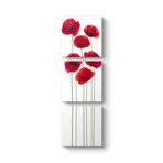 Vektörel Gelincikler Tablosu 50 x 156-3 Parçalı