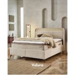 Velura Home & Living Utopia Tek Kişilik Yatak Baza Başlık Seti (100 x 200) - Kahverengi