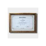 VenaHomeConcept A4 Gold Çerçeve |21x29.7 cm| Camlı | Lüks Dekoratif | Sertifika, Diploma, Ruhsat, Fotoğraf Çerçevesi