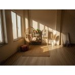 Venspor Bohem Tarzda Güneş Işığıyla Dolu Modern Stüdyo Fonu - 200X150CM Arka Plan