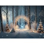 Venspor Büyüleyici Kar Manzarası Işıklarıyla Kış Arka Planı, Stüdyo Fonu, 200X150CM