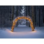 Venspor Işıklı Orman Geçidi Arka Plan - Stüdyo Fonu 200X150CM